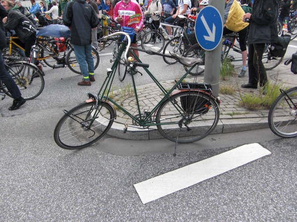 Fahrradsternfahrt Hamburg Tierfreund23 840